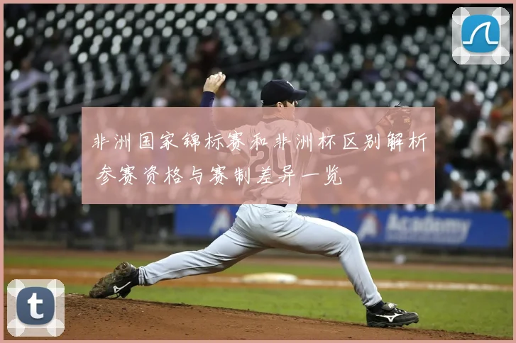 非洲国家锦标赛和非洲杯区别解析 参赛资格与赛制差异一览