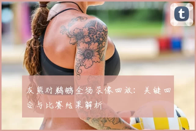灰熊对鹈鹕全场录像回放：关键回合与比赛结果解析