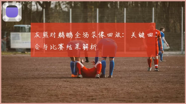 灰熊对鹈鹕全场录像回放：关键回合与比赛结果解析