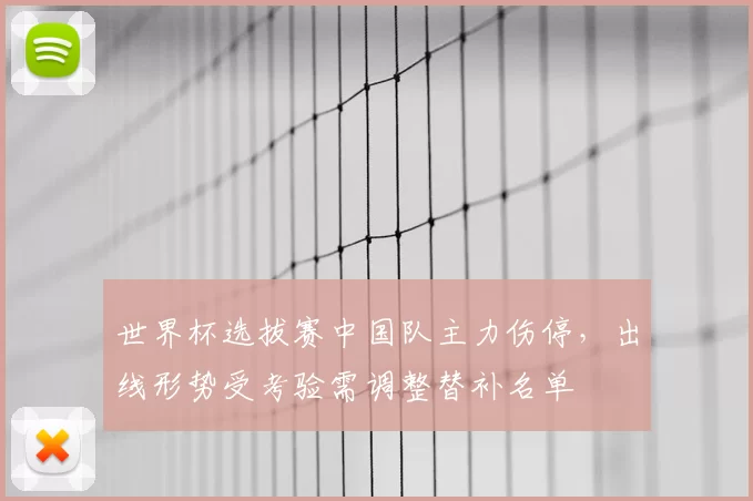 世界杯选拔赛中国队主力伤停，出线形势受考验需调整替补名单